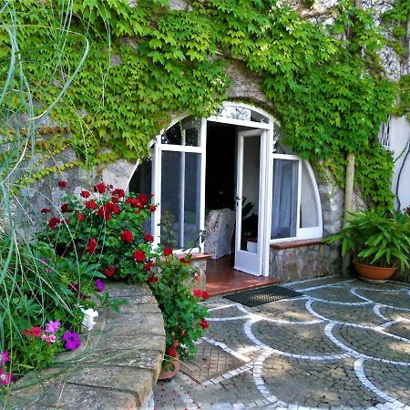 Villa Le Olivine Sorrento Exteriér fotografie