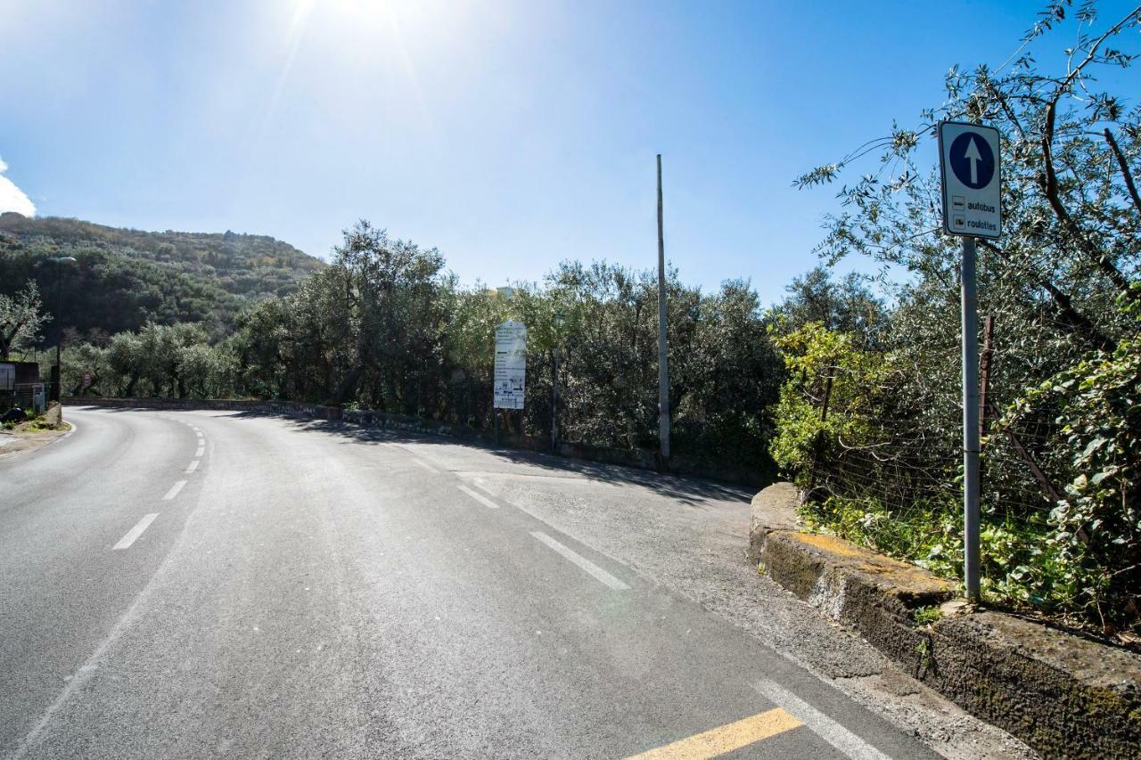Villa Le Olivine Sorrento Exteriér fotografie
