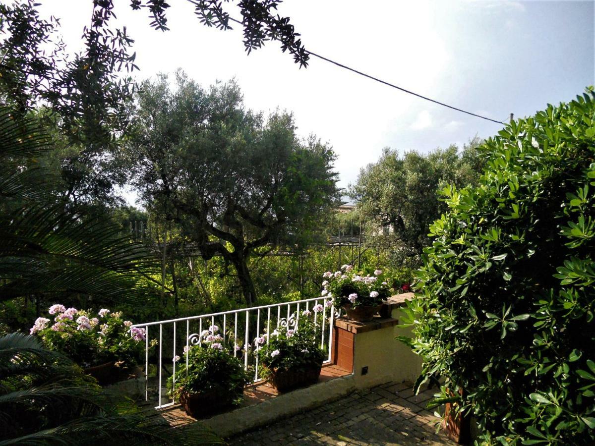 Villa Le Olivine Sorrento Exteriér fotografie