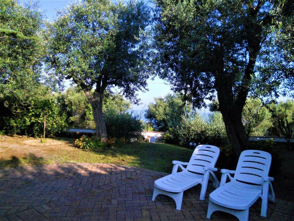 Villa Le Olivine Sorrento Exteriér fotografie