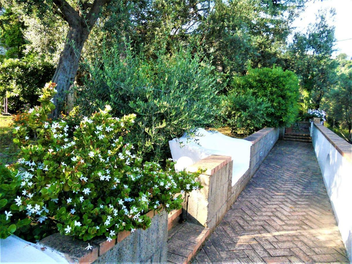 Villa Le Olivine Sorrento Exteriér fotografie